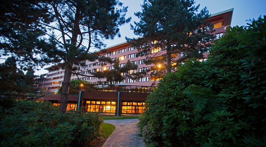 Disney's Sequoia Lodge